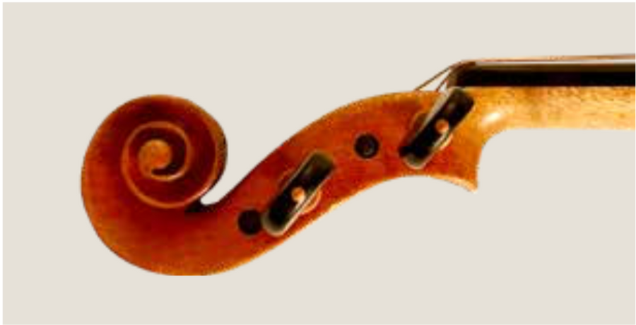 Maple Leaf Strings Burled Maple Violin