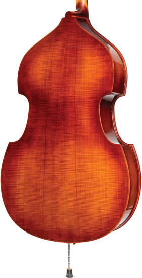 Violin Pros - Howard Core A41 Bass Outfit