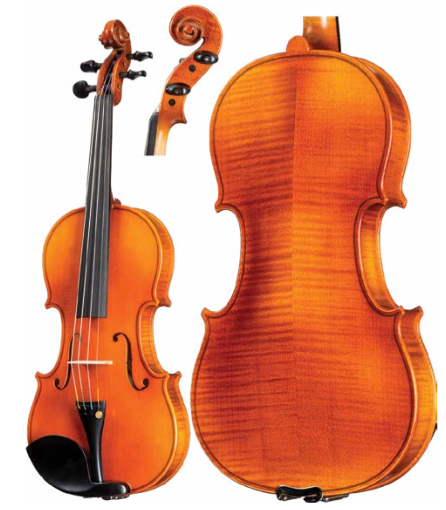 Franz Sandner FS604 Violin | Violin Pros