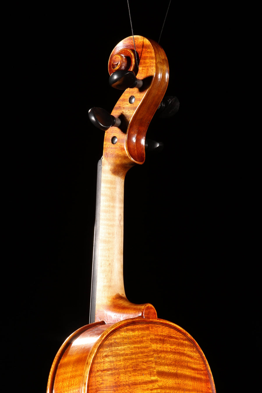 Krutz 800 Violin