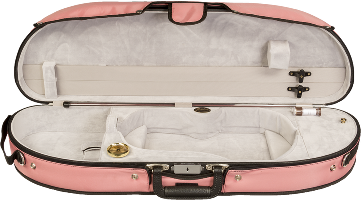 A well-maintained violin case