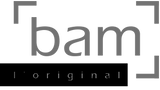 Violin Pros BAM Case Logo Front Page