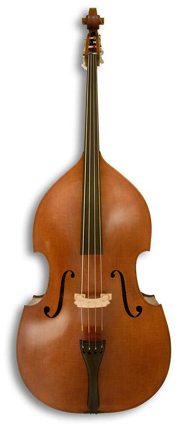 Violin Pros - Krutz 100 Bass Outfit
