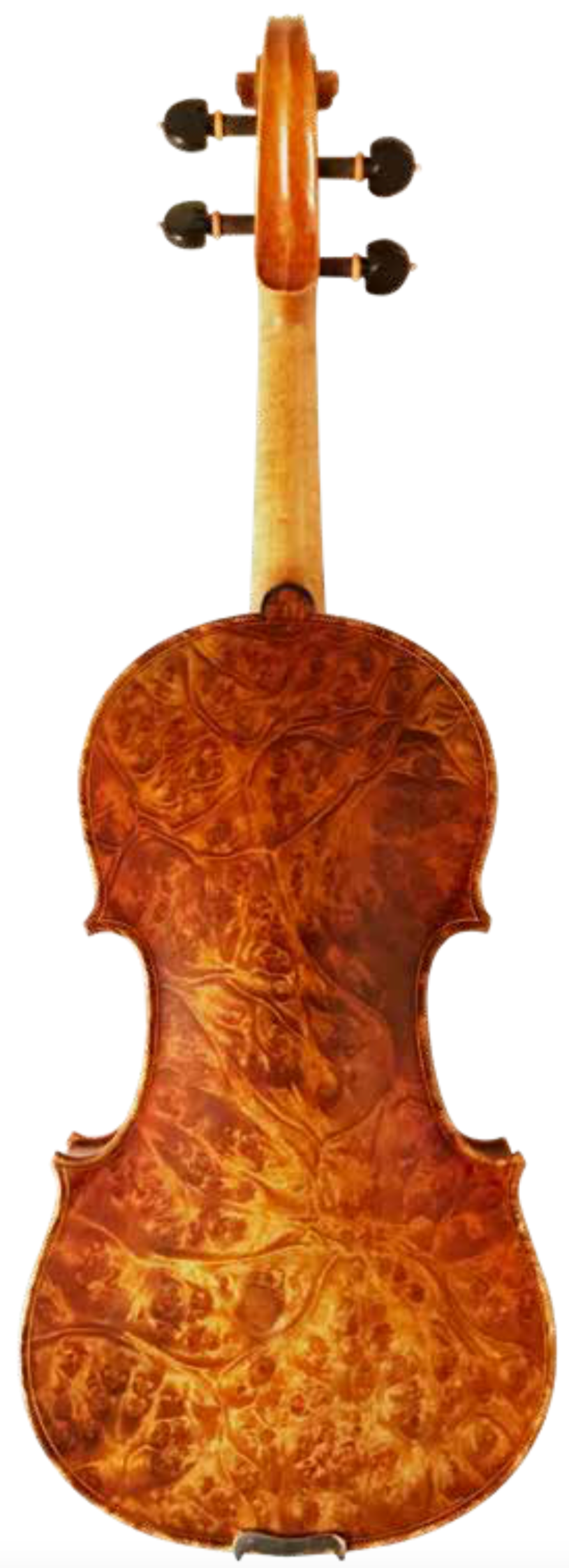 Maple Leaf Strings Burled Maple Violin back