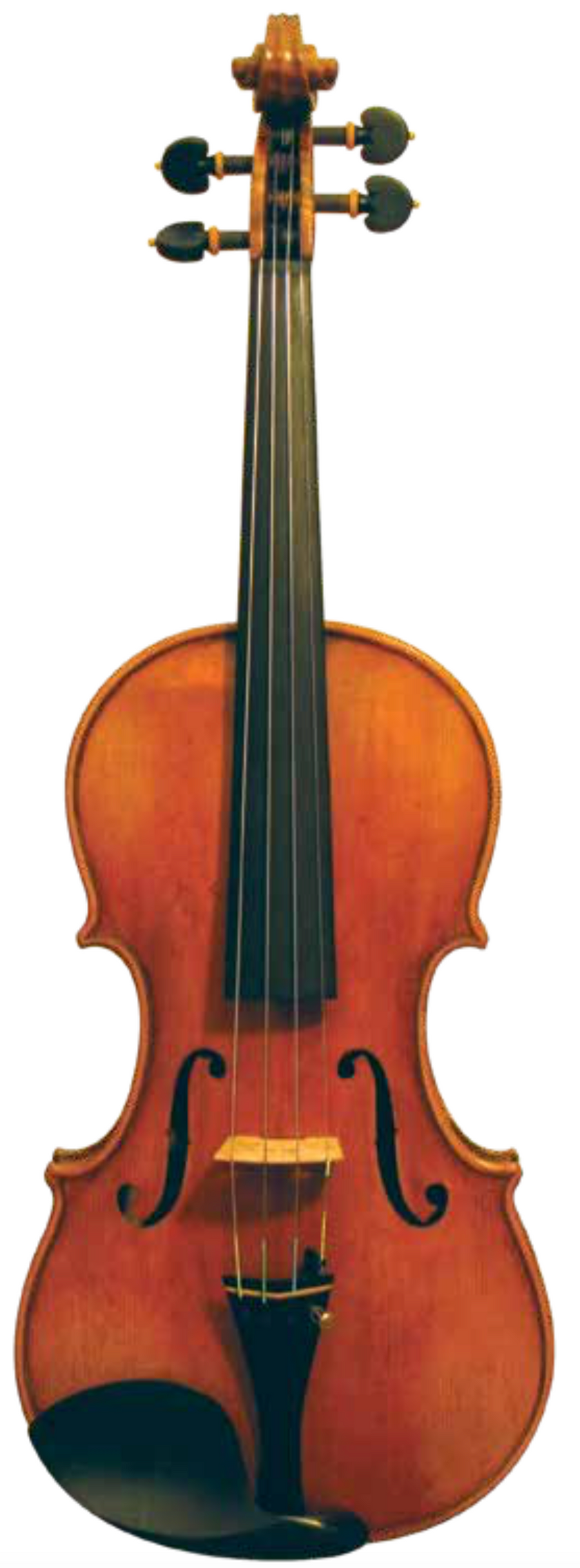 Maple Leaf Strings Burled Maple Violin front