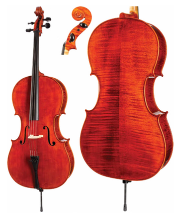 August F. Köhr HC600C Cello