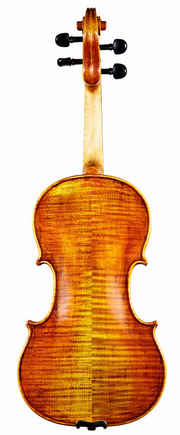 Krutz 800 violin back