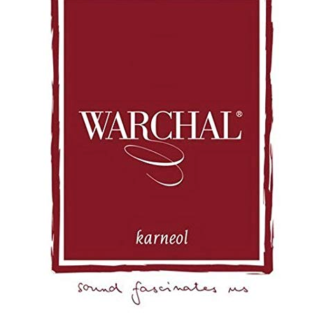 Warchal Karneol violin string set with ball end E