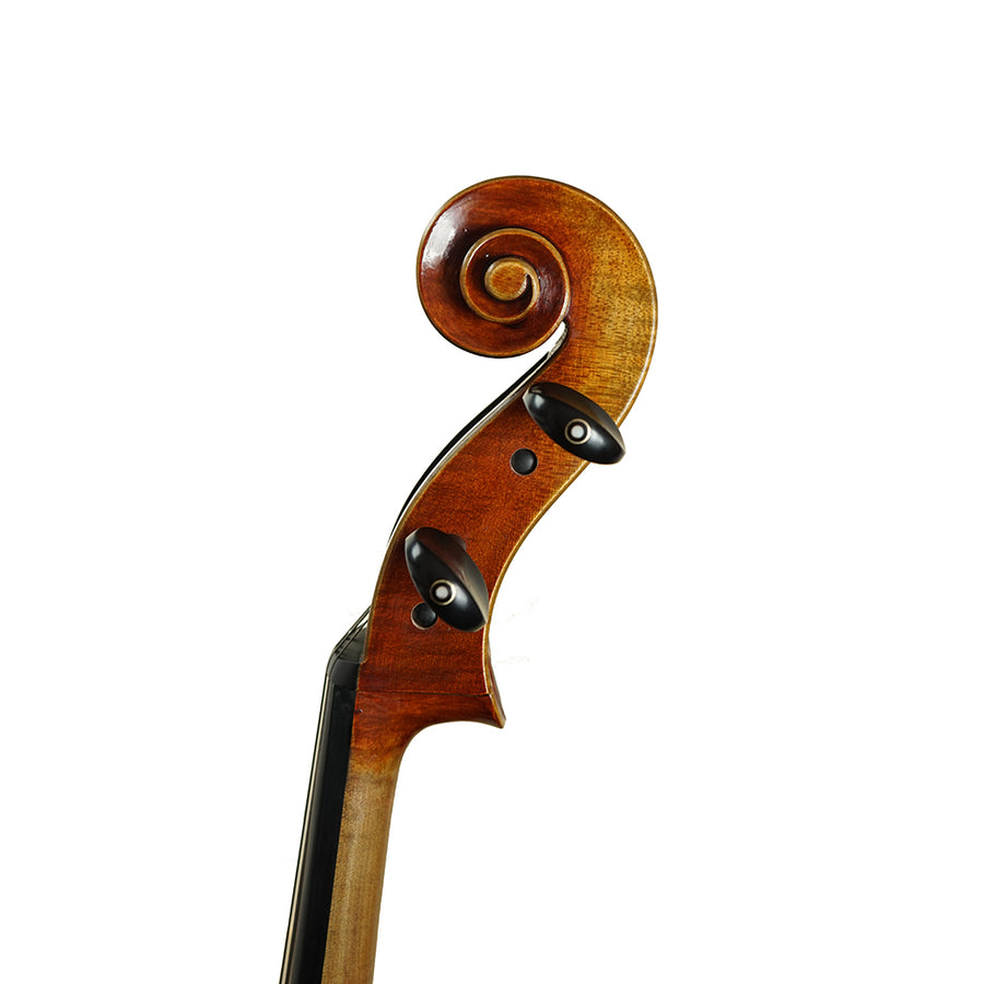 J&J String Instruments-  Rosalia Cello